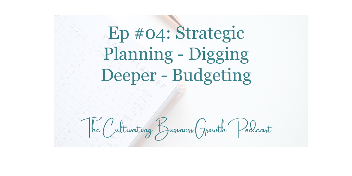 04 Strategic Planning & Budgeting PJS & Co. CPAs